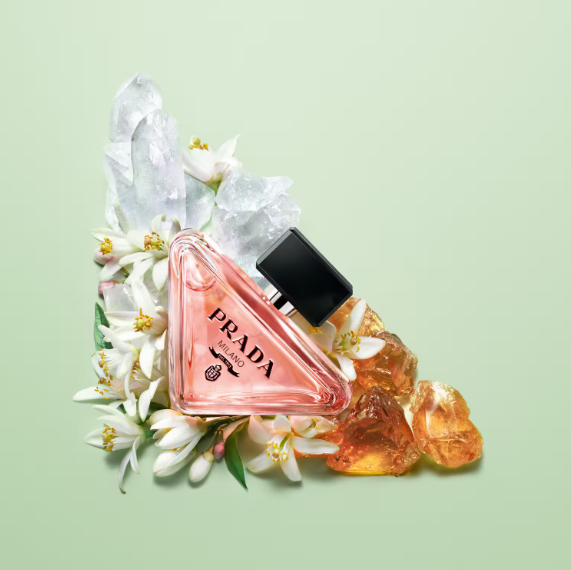 Paradox - Eau de Parfum