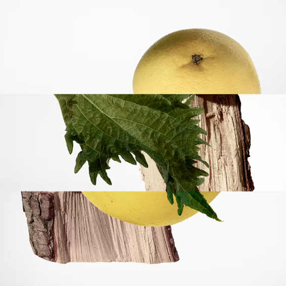 Terre d'Hermès - Eau de Parfum
